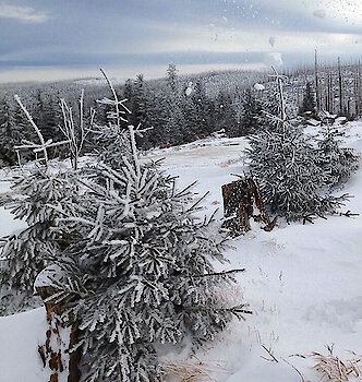 Winter Wellness im Bayerischen Wald